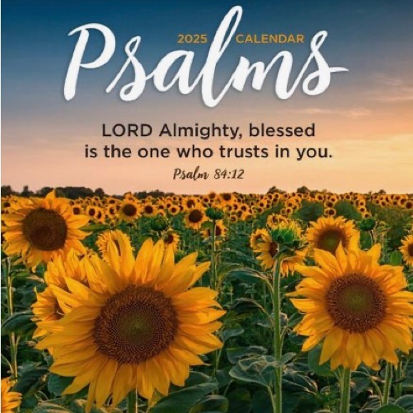 $10-$100 HOLLA & MORE - Picture 7 of 15